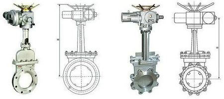 늄ӵ����l�y�DƬ